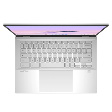 Ноутбук ASUS ExpertBook CX54 CX5403CMA 14"/U7-155U/32/512/Intel HD Chromebook Plus Fog Silver (90NX0791-M00T90)