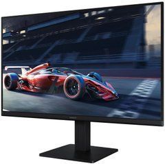 Монітор Samsung 23.8" S24D300 D-Sub, HDMI, IPS, 100Hz LS24D300GAIXUA